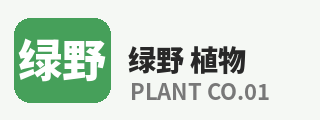 呦呦视频
