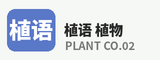 呦呦视频