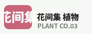 呦呦视频