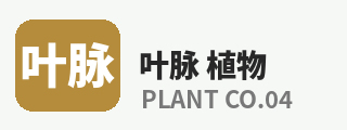 呦呦视频