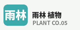 呦呦视频